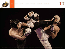 Tablet Screenshot of pointfightingcup.com